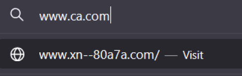 an example of punycode where www.ca.com appears visibly but is not the actual address